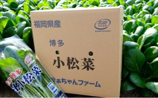 まぁちゃんファームの「こまつな（小松菜）」【JGAP認証】（減農薬・減化学肥料）