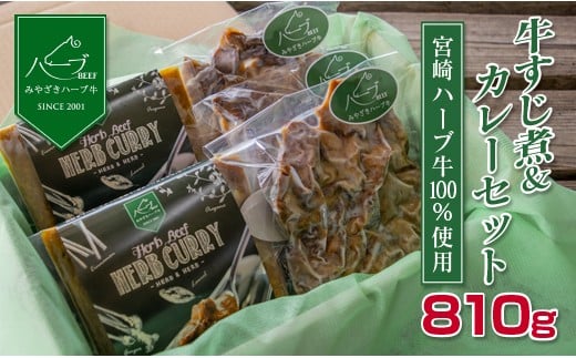 ＜宮崎ハーブ牛＞すじ煮＆カレーセット※90日以内出荷【B363】