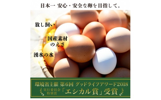 Y129 数量限定 お多福たまご 計10個 1パック 湧水町の湧水を飲んで育った鶏の卵 餌の原料には完全な国産オーガニック素材を使った安心安全の タマゴ お多福たまご 鹿児島県湧水町 ふるさと納税 ふるさとチョイス