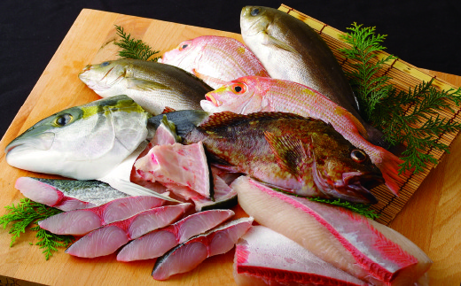 おすすめ 旬の鮮魚等のふるさと納税を探す ふるさとチョイス
