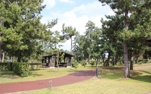 Hi02 日吉津村海浜運動公園 バンガロー宿泊券 鳥取県日吉津村 ふるさと納税 ふるさとチョイス