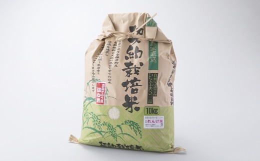 019N61 れんげ米コシヒカリ「精米」10kg [髙島屋選定品]