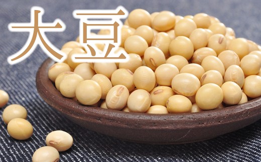 S-6r 大豆たっぷり4kg「味噌作りや煮豆にぴったり♪」【食物繊維が豊富！】