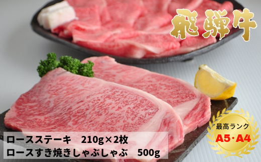 飛騨牛ロースステーキ・すき焼き（しゃぶしゃぶ）セット【飛騨牛5等級ほか】