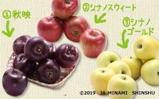 6-J24　りんご3兄弟食べ比べリレーギフト 723865 - 長野県喬木村