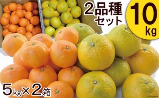 柑橘詰合せセット みかん 2種類 5キロ 2箱 10キロ 長崎県雲仙市 ふるさと納税 ふるさとチョイス