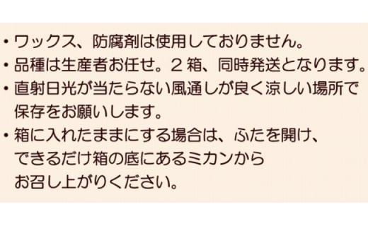 【先行受付】柑橘詰合せセット みかん 2種類（5kg×2箱）計10kg / 森崎果樹園 / 長崎県 雲仙市 [item0162] / 果物 フルーツ  みかん 詰め合わせ セット 10キロ