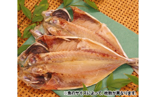 No 081 手塩づけ あじ の干物 魚 ひもの 加工品 手塩づくり 千葉県 特産 千葉県鋸南町 ふるさと納税 ふるさとチョイス