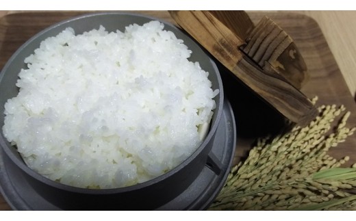 68-115　進栄　令和4年産米　 熊本県産コシヒカリ5kg(白米)【定期便６回】 521300 - 熊本県宇土市
