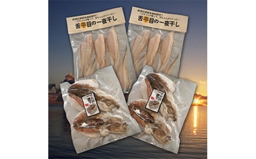 なかつ海の幸セット | 舌平目(ベタ)一夜干し・イカ一夜干し 各2セット