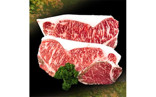 D3 豊後牛ステーキセット 大分 ブランド牛 和牛 500ℊ 冷凍 肉 大分県中津市 ふるさと納税 ふるさとチョイス