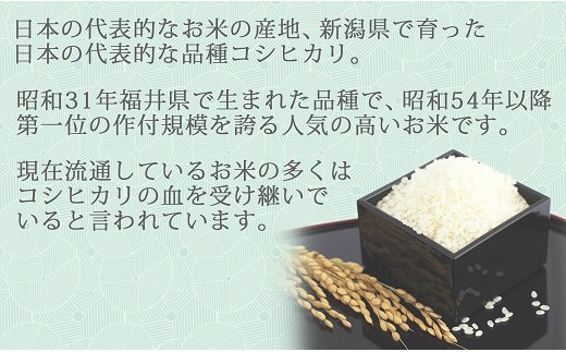 新潟県産コシヒカリ 無洗米 5kg ※定期便12回 下旬発送 安心安全な