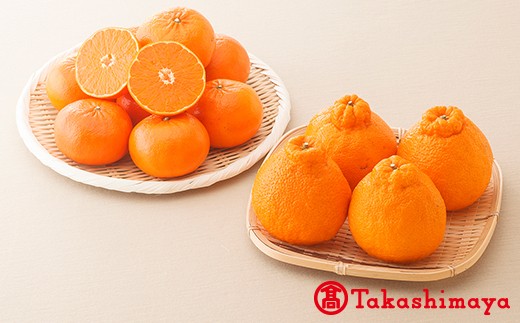 【2023年2月上旬より順次発送予定】不知火柑と麗紅の詰め合わせ 約3kg 柑橘 みかん 果物