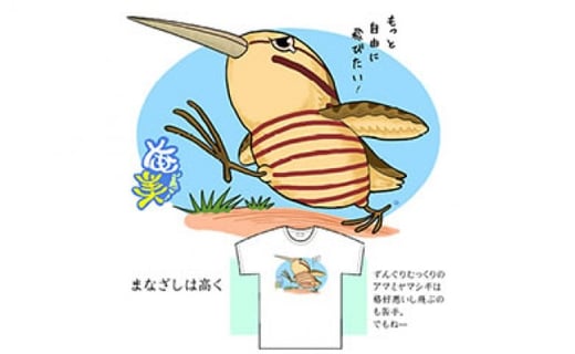 あま美デザイン工房作まなざしは高く 奄美イラストｔシャツ 3サイズ展開 鹿児島県奄美市 ふるさと納税 ふるさとチョイス