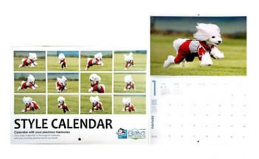 Bコース　飛行犬撮影カレンダーセット