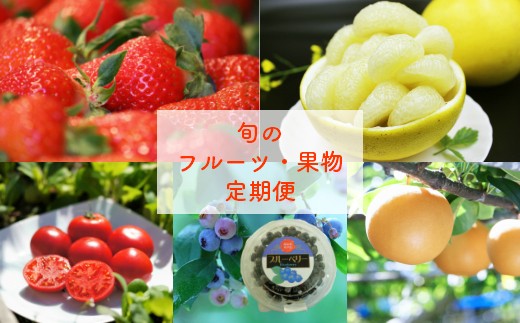 佐川町産フルーツ 野菜 定期便 全５回 R2 高知県佐川町 ふるさと納税 ふるさとチョイス