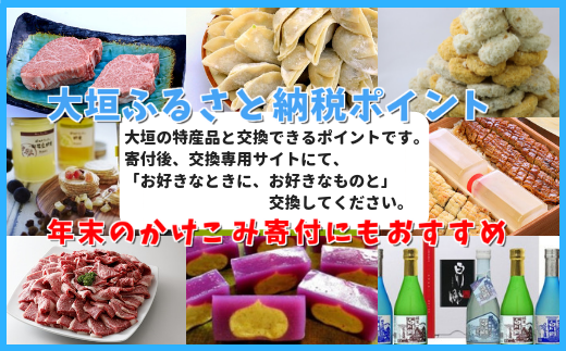 大垣市ふるさと納税ポイント 10 000ポイント 岐阜県大垣市 ふるさと納税 ふるさとチョイス