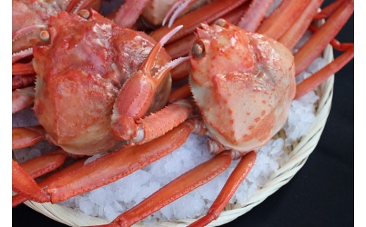 07-14 【訳あり 香住ガニ(紅ズワイガニ)釜茹で 3~4匹(1.8kg~2.0kg ...
