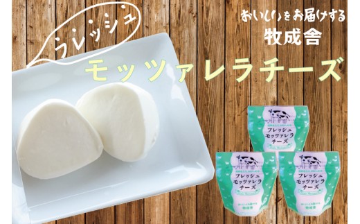 <牧成舎>牛乳屋がていねいに作ったフレッシュモッツァレラチーズ3個