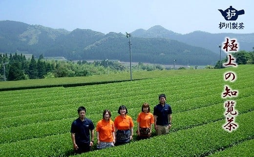 006 09 後岳産 枦川製茶の粉末緑茶セット 鹿児島県南九州市 ふるさと納税 ふるさとチョイス