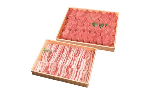 宮崎牛 約500g 宮崎ブランドポーク 約500g 焼肉セット M055 005 宮崎県宮崎市 ふるさと納税 ふるさとチョイス