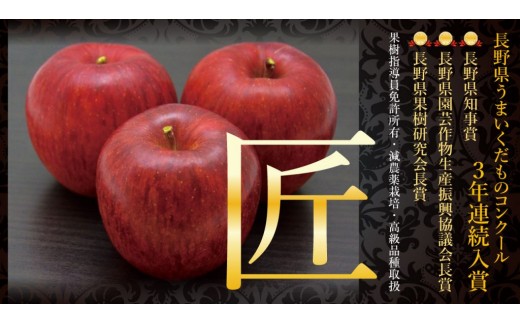 長野県伊那市のふるさと納税 【010-11】幻のりんご　あいかの香り　約3キロ　信州が生んだ希少なりんごです（りんご・リンゴ・林檎）