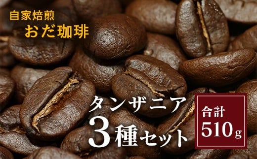 自家焙煎 おだ 珈琲 タンザニア 3種セット 各170g コーヒー 豆 1098717 - 福岡県嘉麻市