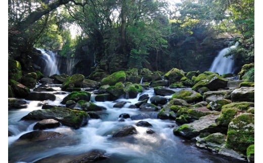 「熊本・阿蘇外輪山の水系」と「大分・九重連山の水系」が交わる、南小国町・田の原地区の貴重な水源地。