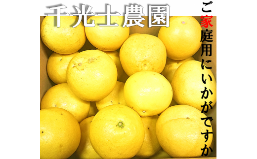 高知県安芸市のふるさと納税で選べるお礼の品一覧 ふるさとチョイス 3ページ目