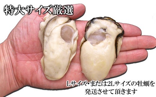 C01 502 大粒むき身牡蠣 3kg 約30 40粒 3袋 千葉県長生村 ふるさと納税 ふるさとチョイス