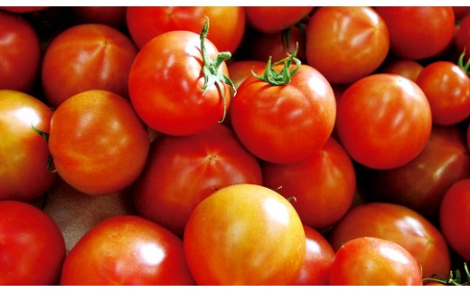 夜須のフルーツトマト２kg B 219 高知県香南市 ふるさと納税 ふるさとチョイス
