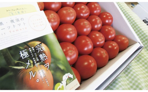 夜須のフルーツトマト２kg B 219 高知県香南市 ふるさと納税 ふるさとチョイス