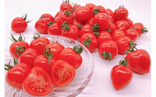 X1 坂本農園のミニトマト トマトベリー 3kg 熊本県玉名市 ふるさと納税 ふるさとチョイス
