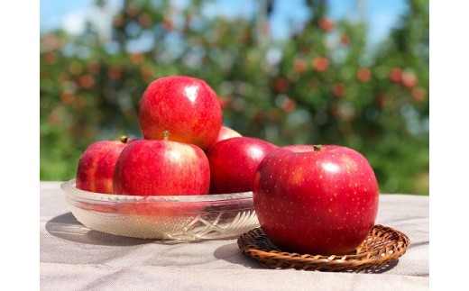 完熟りんご 千秋 約5kg 数量限定 長野県立科町 ふるさと納税 ふるさとチョイス
