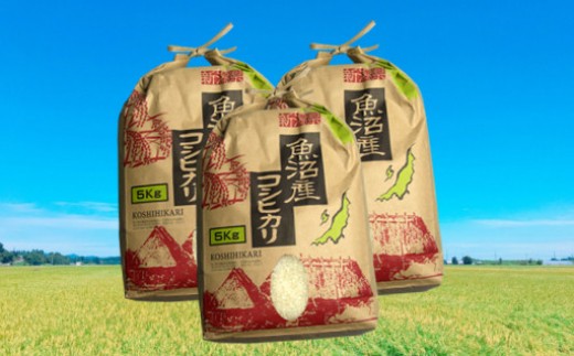 日本一のブランド米「魚沼産コシヒカリ」