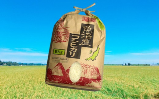 日本一のブランド米「魚沼産コシヒカリ」