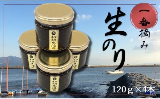 Av1 初摘み 生のり佃煮 注文受けてから作ります 熊本県玉名市 ふるさと納税 ふるさとチョイス