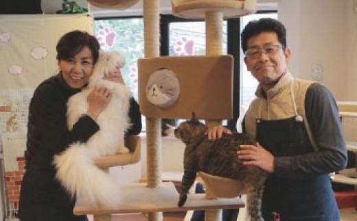 Ag 1 Tvで話題沸騰 猫カフェ ニャンシー体験チケット 埼玉県志木市 ふるさと納税 ふるさとチョイス