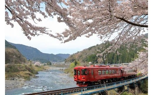 観光列車「ながら」 スイーツプラン 予約乗車券（シングル） T20-01 912474 - 岐阜県関市
