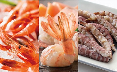 【獲れたての味!! 3品Wセット】ぼたんえび10尾×2+甘えび30尾×2+ボイルシャコ8~10尾×2