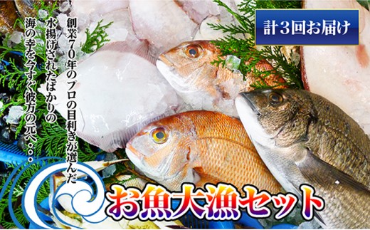 定期便5回】創業100年の魚屋さんが選び抜いた旨い鮮魚直送便～ - 香川