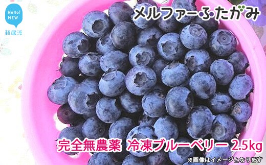 完全無農薬栽培 完熟ブルーベリー2 5kg 冷凍 毎年人気の冷凍ブルーベリーです 愛媛県新居浜市 ふるさと納税 ふるさとチョイス