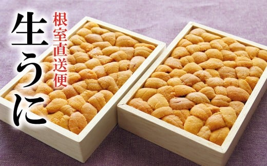 D-40005  エゾバフンウニバラ詰め250g×2枚[2026年3月上旬以降発送]