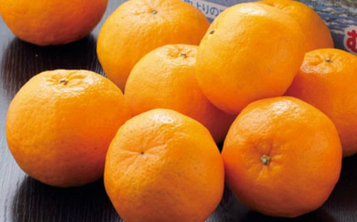 【訳あり】人気の柑橘室戸産ポンカン3kg