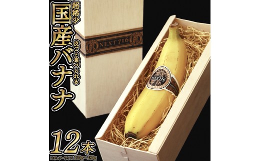 国産バナナNEXT716　レギュラーサイズ「12本」