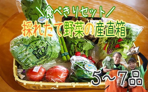 寄付金額別 おすすめ野菜特集 ふるさと納税 ふるさとチョイス