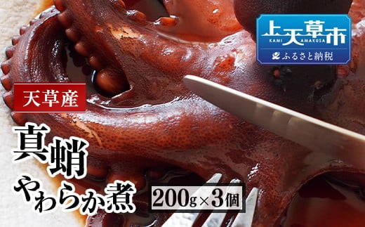 天草産真蛸のやわらか煮(たこステーキ)200g×3個  218415 - 熊本県上天草市