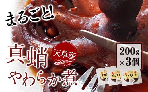 天草産真蛸のやわらか煮(たこステーキ)200g×3個 - 熊本県上天草市