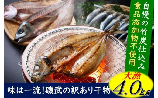 大漁4kg 磯武さんの訳あり干物 大分県国東市 ふるさと納税 ふるさとチョイス