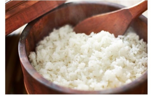 令和6年産 特Aランク米 ゆめぴりか 無洗米 10kg（5kg×2袋）雪冷気 籾貯蔵 雪中米 北海道